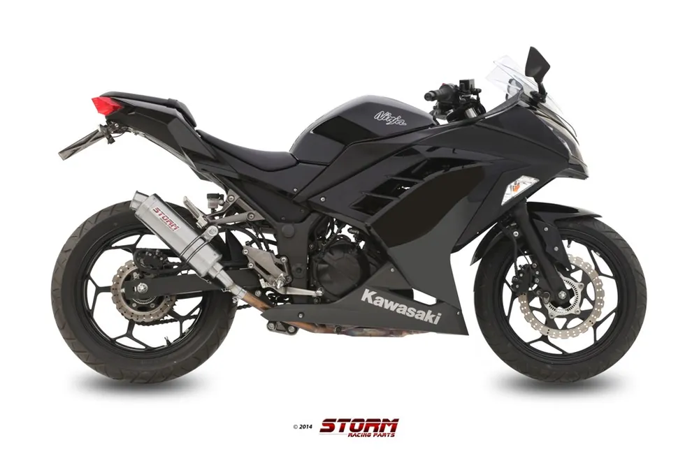 Super-Preis Auspuff Storm SLIP-ON GP Edelstahl mit ABE für Honda CB FA Hornet 600 ccm Bj. 2007 - 2013