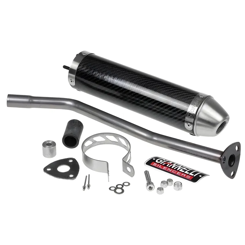 Auspuffanlage Giannelli Endtopf Carbon mit ABE für Aprilia Ausverkauf