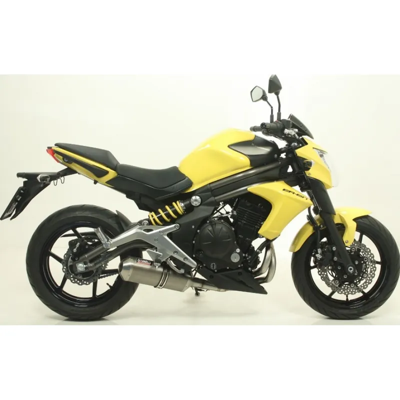 Auspuffanlage Giannelli Ipersport Komplettanlage Aluminium mit ABE für Kawasaki Knallerangebot
