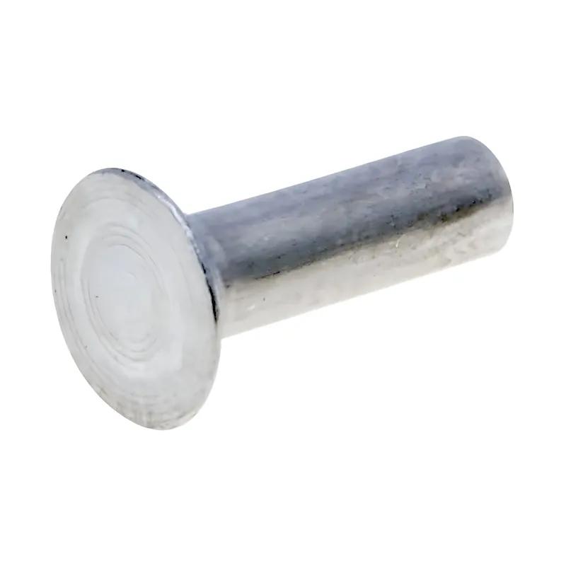Niet / Metallbolzen 3x10mm Letzte Chance