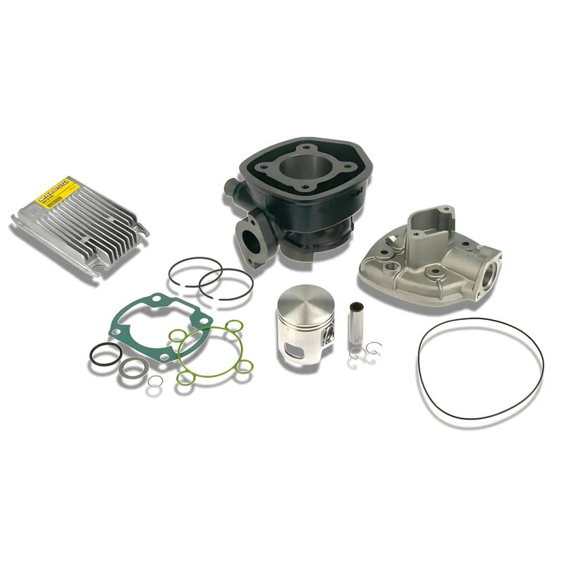 Neu Zylinderkit Malossi 70ccm für Aprilia DiTech (bis Bj. 07 / 2003) incl. Steuerelektronik