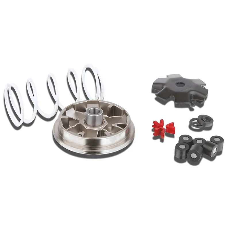 Variator Malossi Multivar für Peugeot stehend, liegend, Gegendruckfeder weiß, Gewichte 16x13mm - 8,5gr Knallerangebot