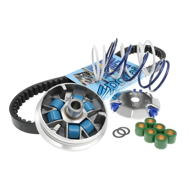Variator Polini Speed Control ECO KIT für Honda Bali, Peugeot SV GEO SFX Zenith Shadow Herkules Limbo SXR NA MA Sachs BSV 50 ccm Mega-Angebot