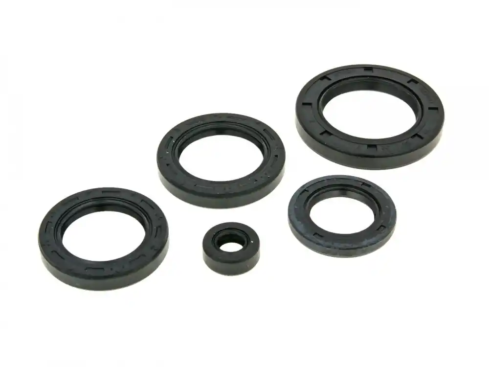 Wellendichtringsatz Motor für Honda Pantheon 125-150 LC 1998-2002 Nur Heute