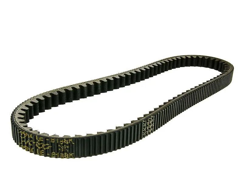 Keilriemen Dayco Power Plus für Beverly, Carnaby, Sport City, Scarabeo 200 Top-Preis