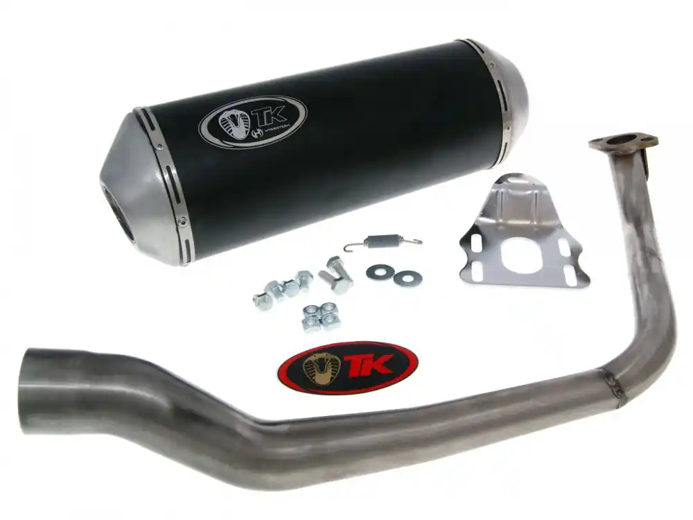 Auspuff TurboKit GMax 4T mit Zulassung für SYM HD 125 EVO Nur Heute