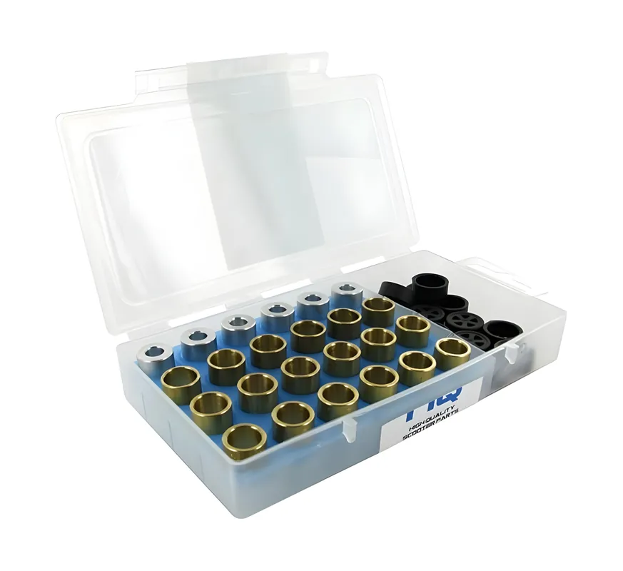 Abstimmset Variomatik 19 x 15,5mm Polini - 3,5gr - 4,0gr - 4,5gr - 5,0gr Finale Aktion