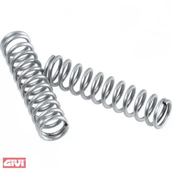 Riegelfeder GiVi 2 Stück für V37 für E28 / E34 / E35 / E36 / E38 / E45 / E460 / V46 / E50 Knallerangebot