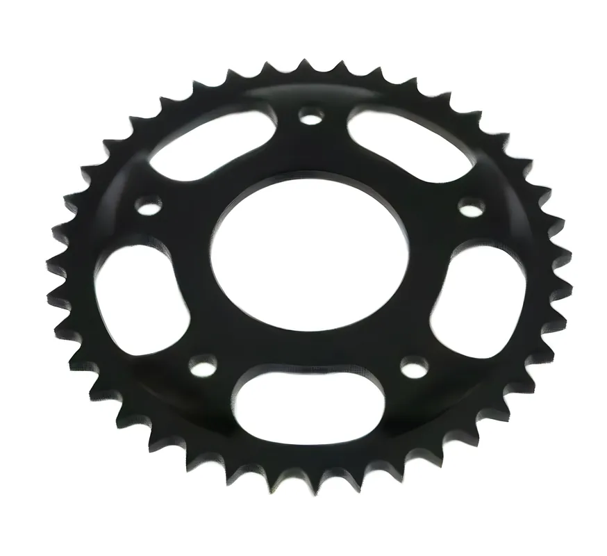 Saisonangebot Kettenrad z=40 - Schikra MS125