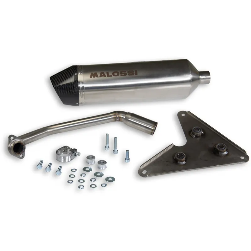 Versand Am Gleichen Tag Auspuff Malossi RX mit Zulassung für Yamaha Xenter 125-150i E3 Bj. 2012-16