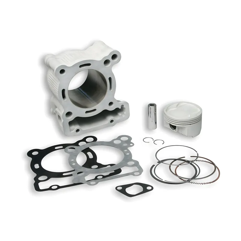 Zylinderkit Malossi 166ccm Aluminium Ø 15mm LC für Derbi GPR 125 4T, Aprilia RS ABS SX, Derbi GPR Nude Racing Tuono RX Senda Cross City Terra Adventure Bj. 2005 - 2022 Preis Gesenkt