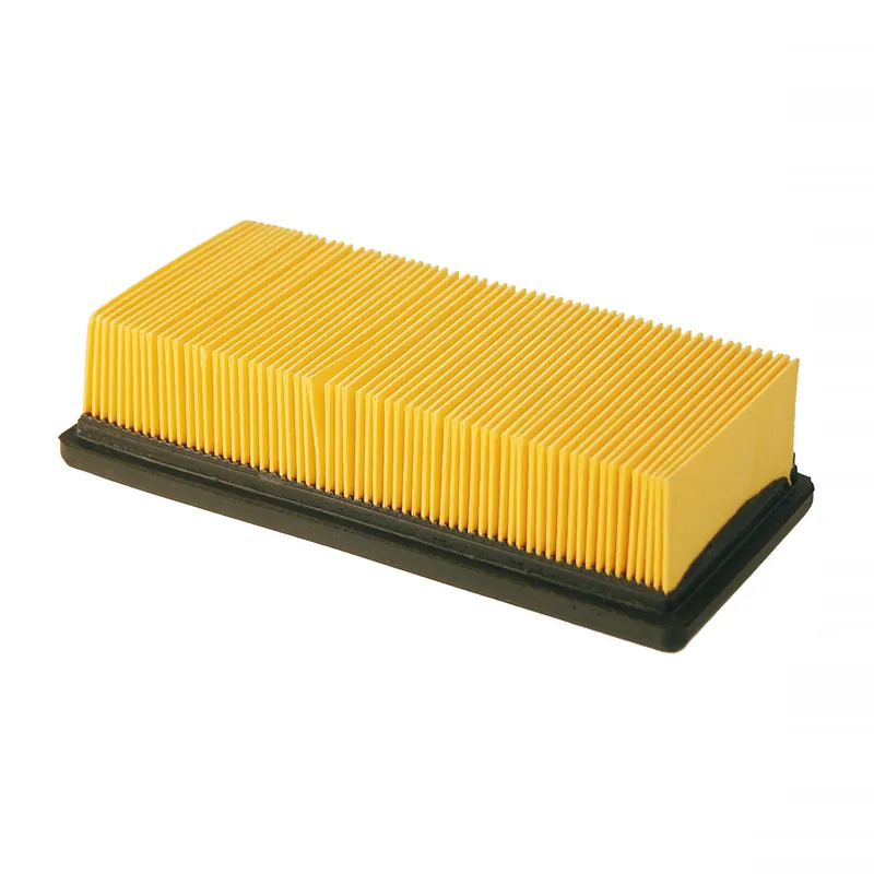 Luftfilter Champion CAF4219 Letzte Chance