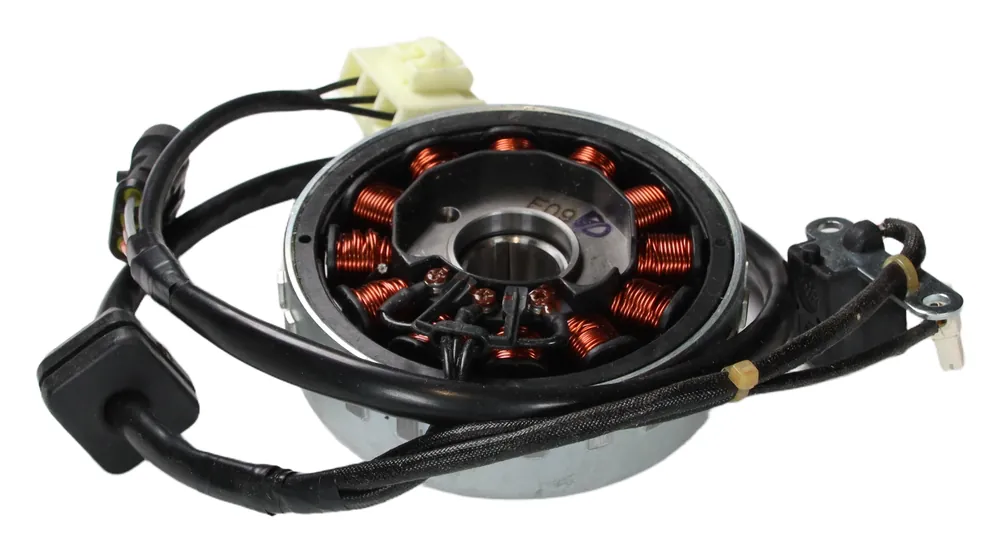 Lichtmaschine komplett Polrad, Stator, Pickup für Piaggio liberty 125 PTT Bj. 2012 Schneller Versand