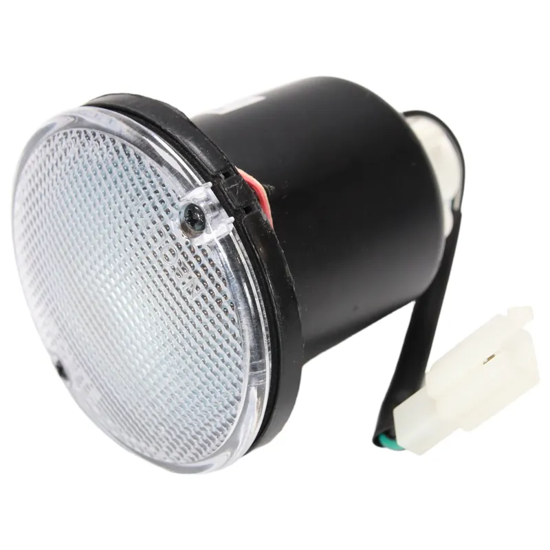 Rücklicht Piaggio für Porter, B000969 Sofort Bestellen
