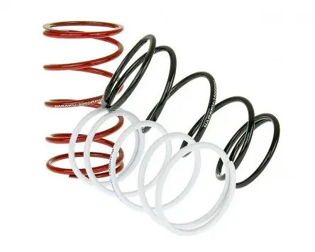 Gegendruckfeder NARAKU 3er Set Sport Minarelli, CPI Saisonangebot