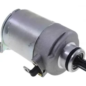 Anlasser Motor kompatibel für Aprilia Habana 125ccm, Piaggio Hexagon, Liberty 125ccm Ersatz Roller Maxiscooter Startermotor Nur Heute