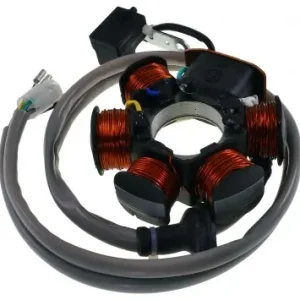 Lichtmaschine / Zündung Original für Aprilia SR50 R, Derbi Atlantis, Gilera Runner, Piaggio NRG, Italjet Jet Set, Malaguti Ciak Ersatz Roller Moped Neuheit