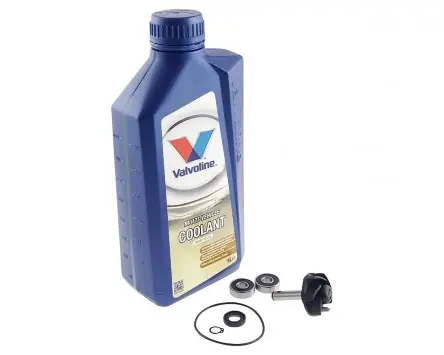 Reparaturkit Wasserpumpe mit Kühlflüssigkeit für Minarelil Neue Ware