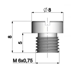 Garantierte Lieferung Hauptdüse POLINI 6mm für Dellorto Vergaser