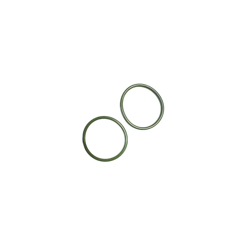 Beliebt O-ring Exhaust Viton (2 Pcs)