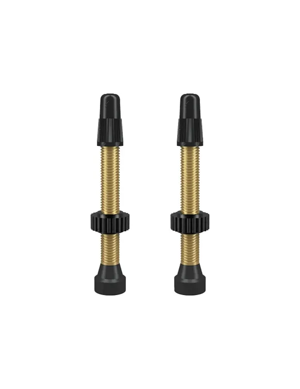 Valvola TCS Brass Presta 46mm 2 pz Günstig