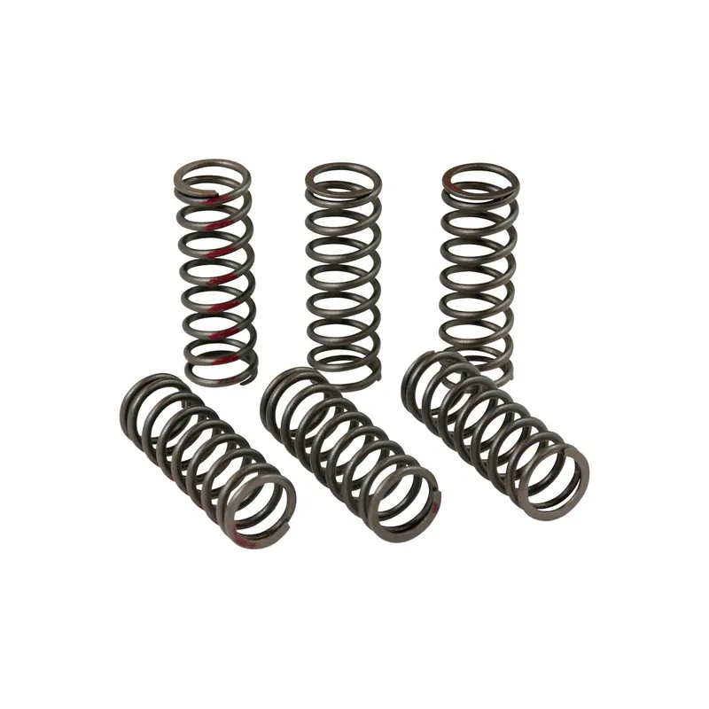 Letzte Chance Pro Circuit Kupplungsfedernsatz für Honda CRF 450 R 13–22 CRF 450 RX 17