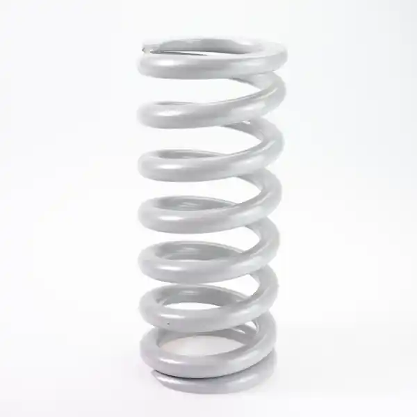Nur Heute rcu spring R1 9.5kg