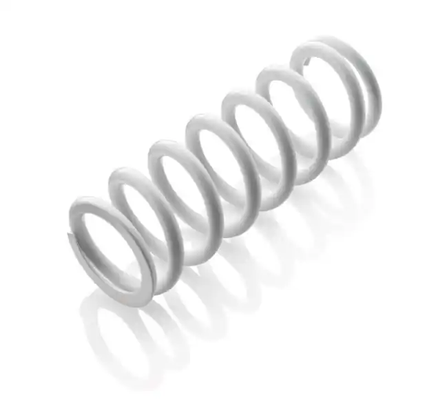 WP OEM - FEDER 260 57 N/MM Expressversand